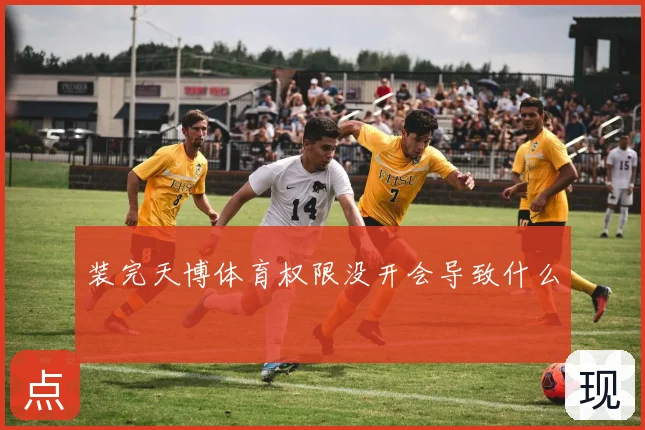 装完天博体育权限没开会导致什么